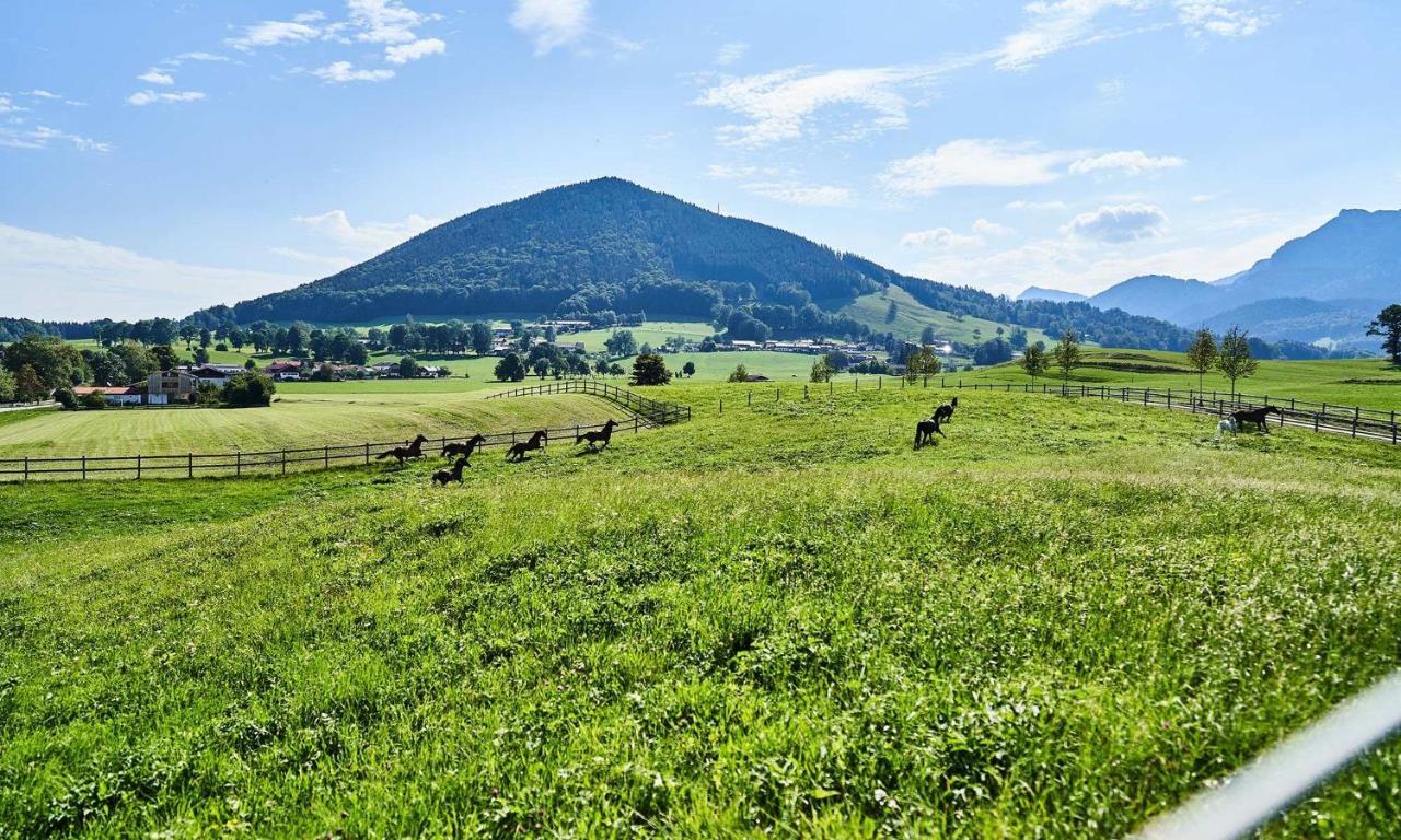 Hof Hauserbichl Фишбахау Екстериор снимка