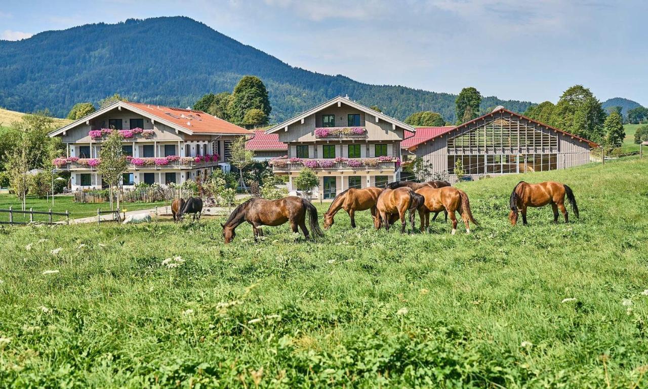 Hof Hauserbichl Фишбахау Екстериор снимка